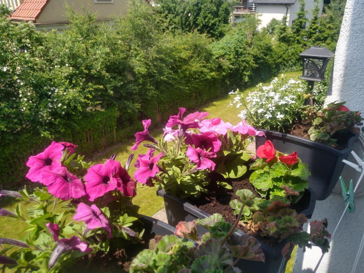 Apartament Olivia Centrum Z Zamknietym Parkingiem Danzica Esterno foto